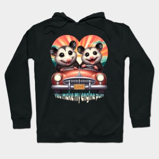 Valentines day opossums driving a car Hoodie